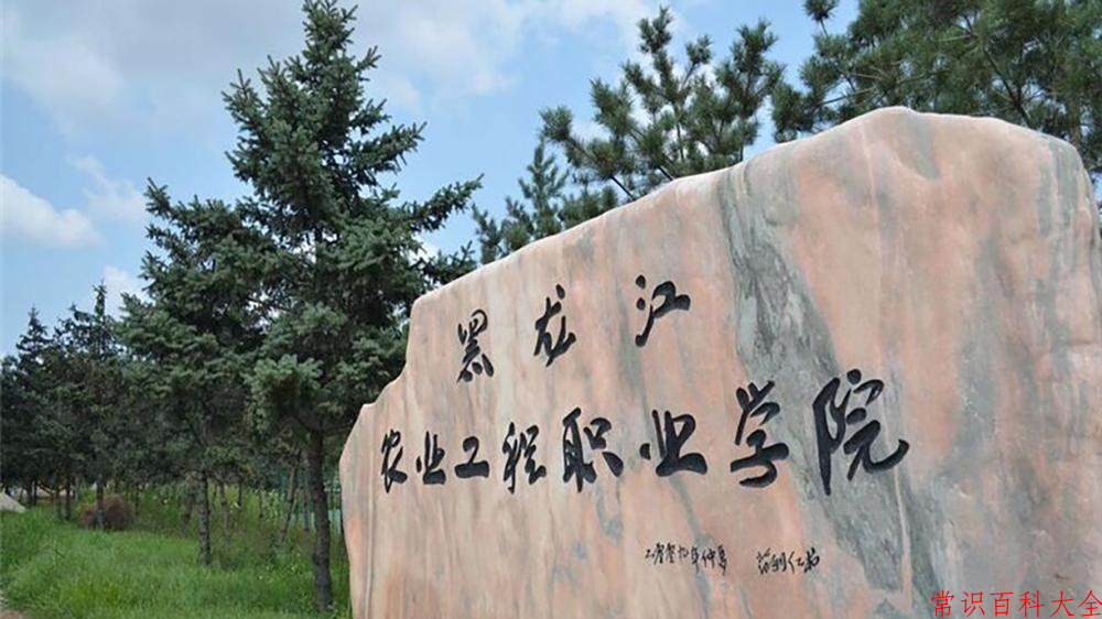 2024黑龙江农业工程职业学院录取分数线：山东最低427分