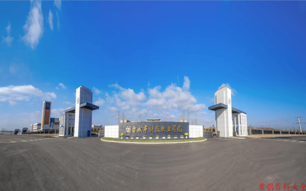 2024烟台城市科技职业学院录取分数线：山东最低247分