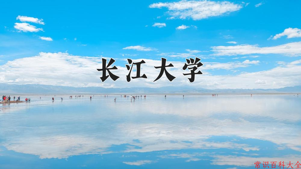 2024年长江大学在山西计划招生人数（附学费及专业录取分)