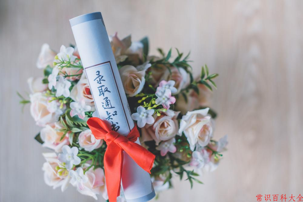 2024年云南交通运输职业学院在广东计划招生人数（含各专业收费标准）