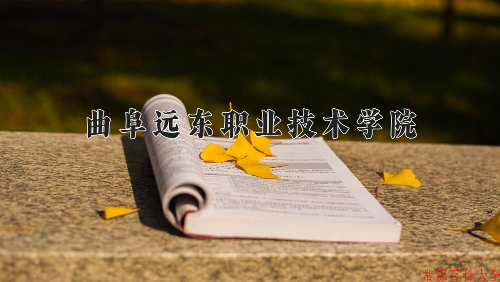 2024年曲阜远东职业技术学院在青海计划招生人数（附学费及专业录取分)