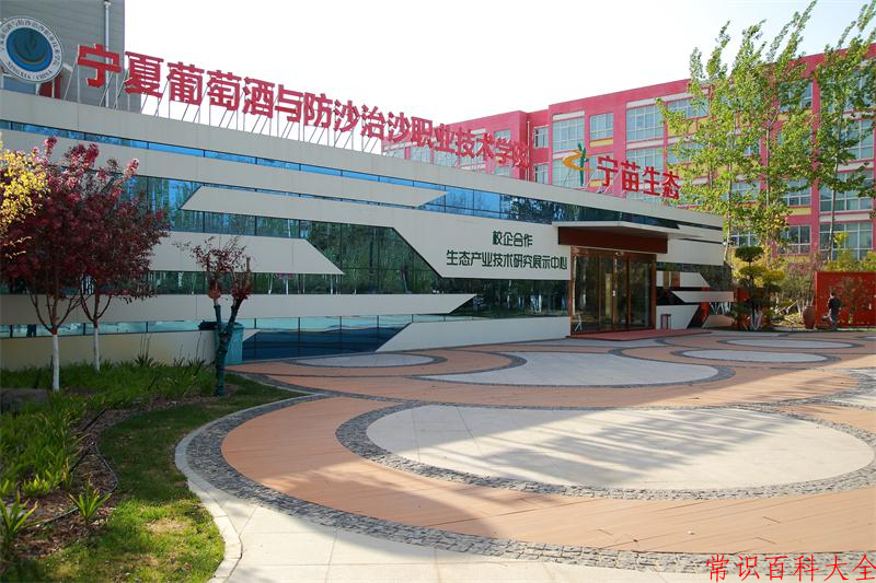 宁夏205分能上哪所学校？附2025年可以报考的大学名单