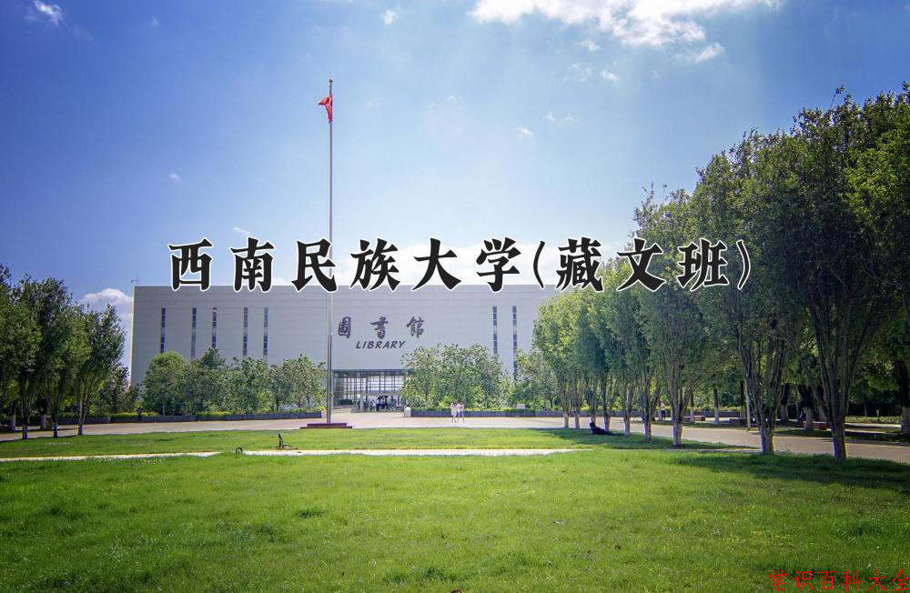 2024年西南民族大学(藏文班)在青海计划招生人数（附学费及专业录取分)