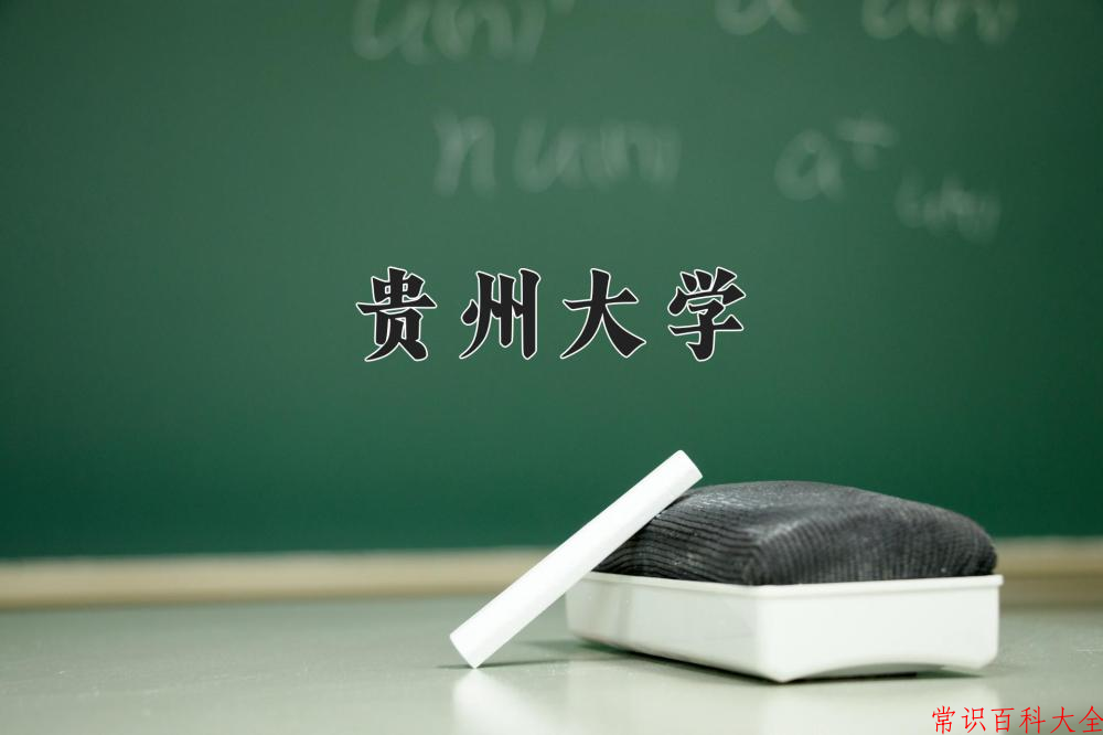 云南581分能上哪所学校？附2025年可以报考的大学名单