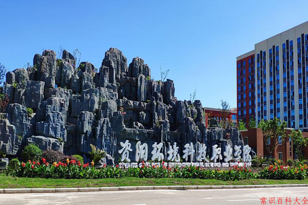 2024年资阳环境科技职业学院在青海计划招生人数（附学费及专业录取分)