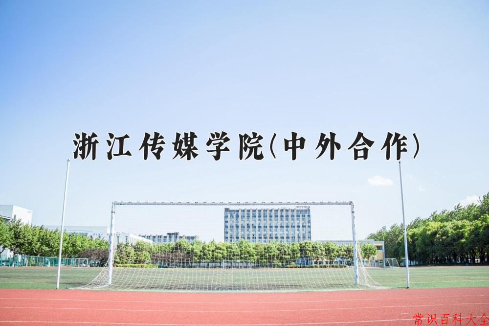 2024浙江传媒学院(中外合作)录取分数线及位次一览：四川考生2025填报参考