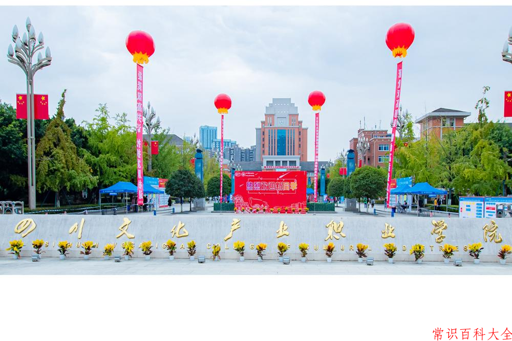 2024年四川文化产业职业学院在青海计划招生人数（附学费及专业录取分)