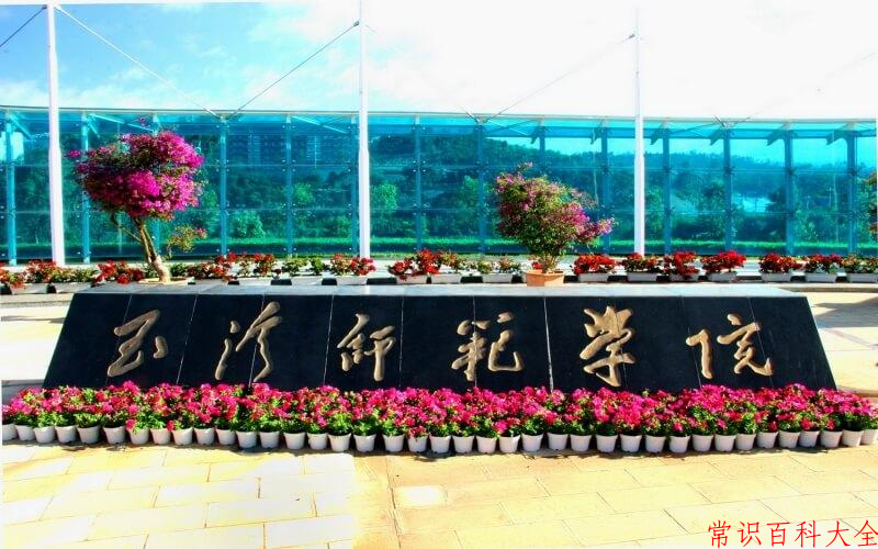 2024年玉溪师范学院在山西计划招生人数（附学费及专业录取分)