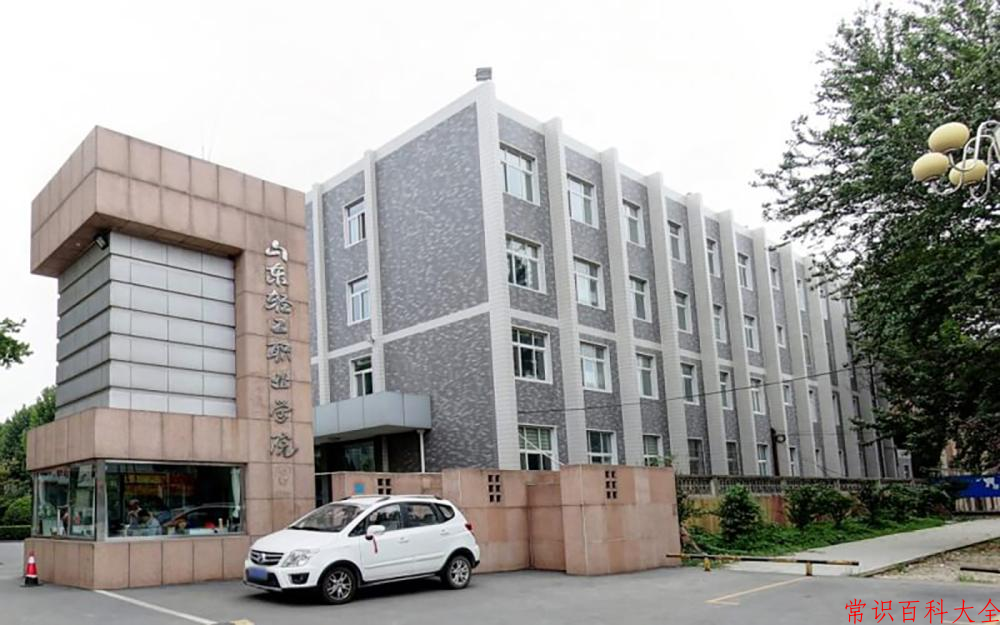 2024山东轻工职业学院录取分数线：山东最低313分