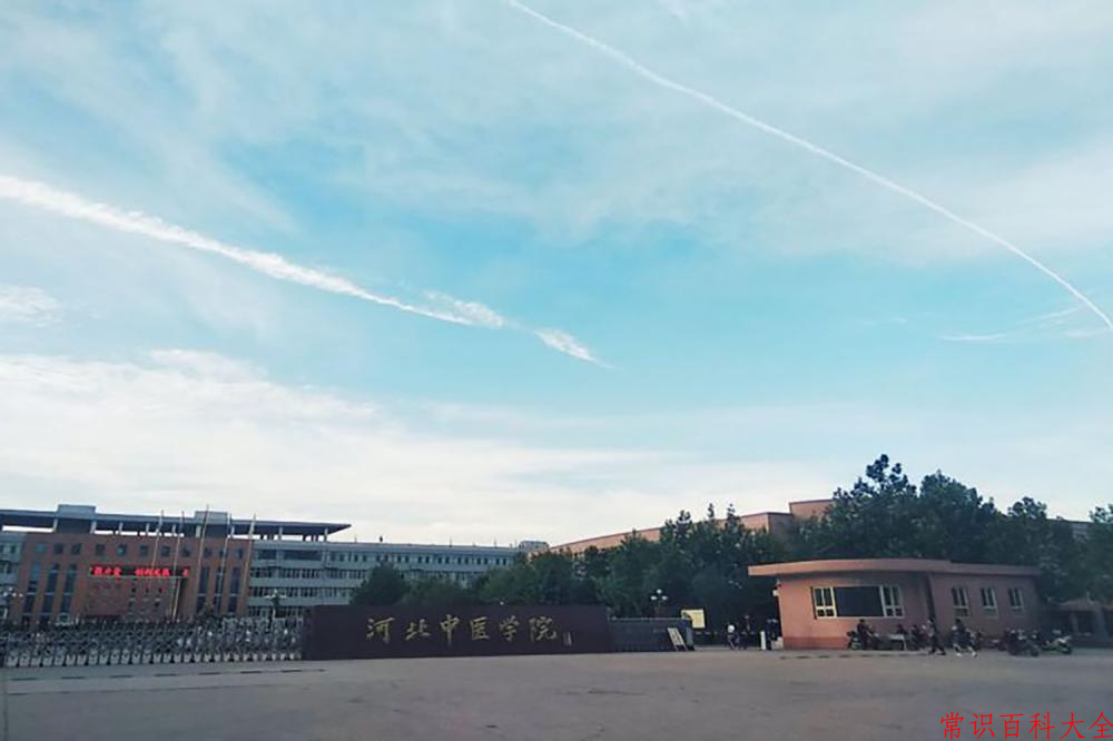 河北中医药大学最厉害的专业-2024河北中医药大学最好专业