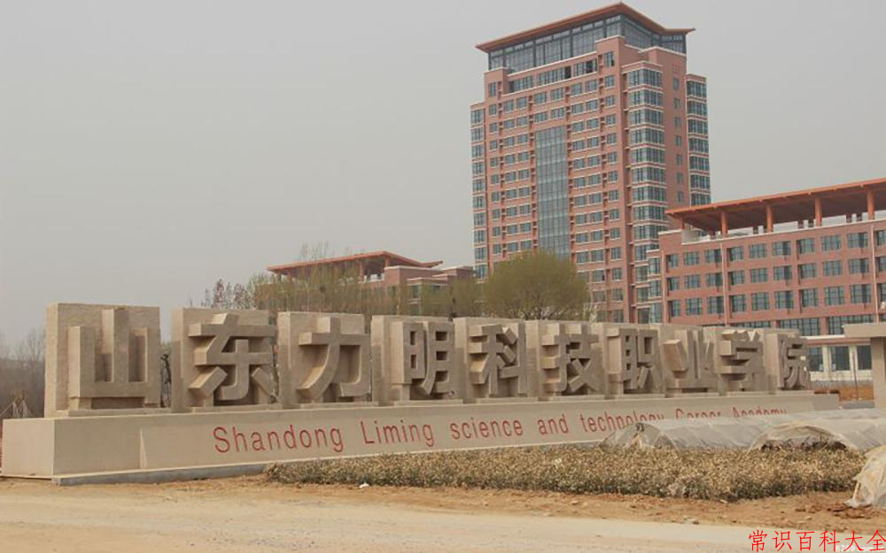 2024山东力明科技职业学院录取分数线：山东最低235分