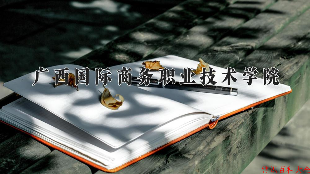 2024广西国际商务职业技术学院录取分数线：山东最低336分