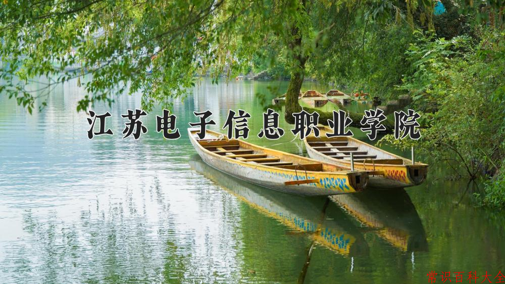 2024江苏电子信息职业学院录取分数线：山东最低414分