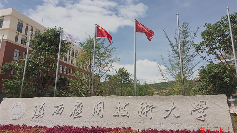 2024滇西应用技术大学录取分数线及位次一览：重庆考生2025填报参考