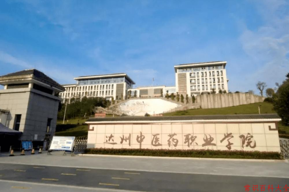 2024达州中医药职业学院录取分数线及位次一览：四川考生2025填报参考