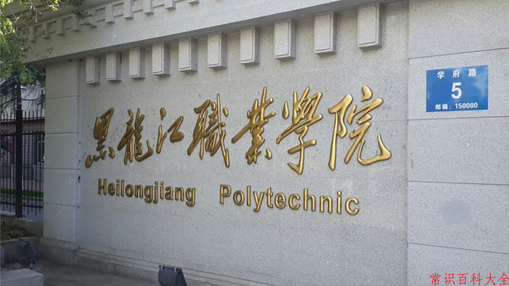 辽宁考生多少分能上黑龙江职业学院？2025最低313分