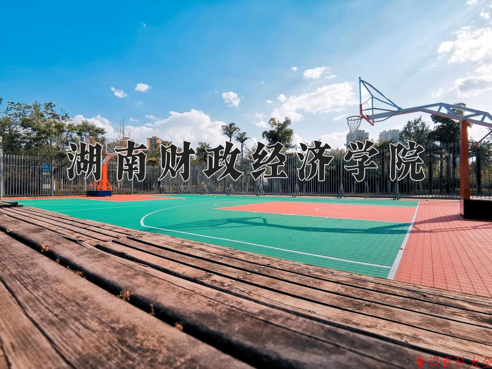 湖南财政经济学院全国排名和最强专业解析