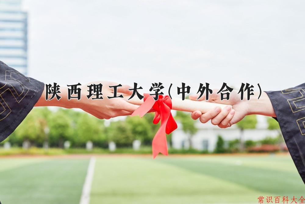 2024陕西理工大学(中外合作)录取分数线及位次一览：四川考生2025填报参考
