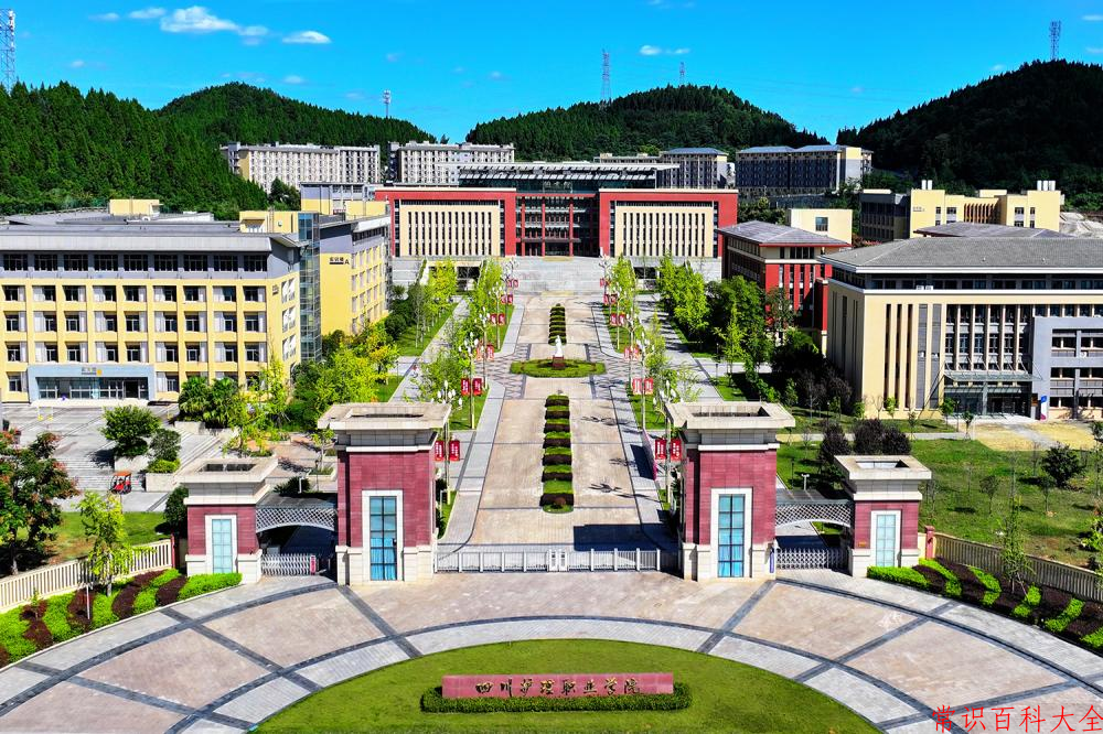 2024四川护理职业学院录取分数线及位次一览：重庆考生2025填报参考