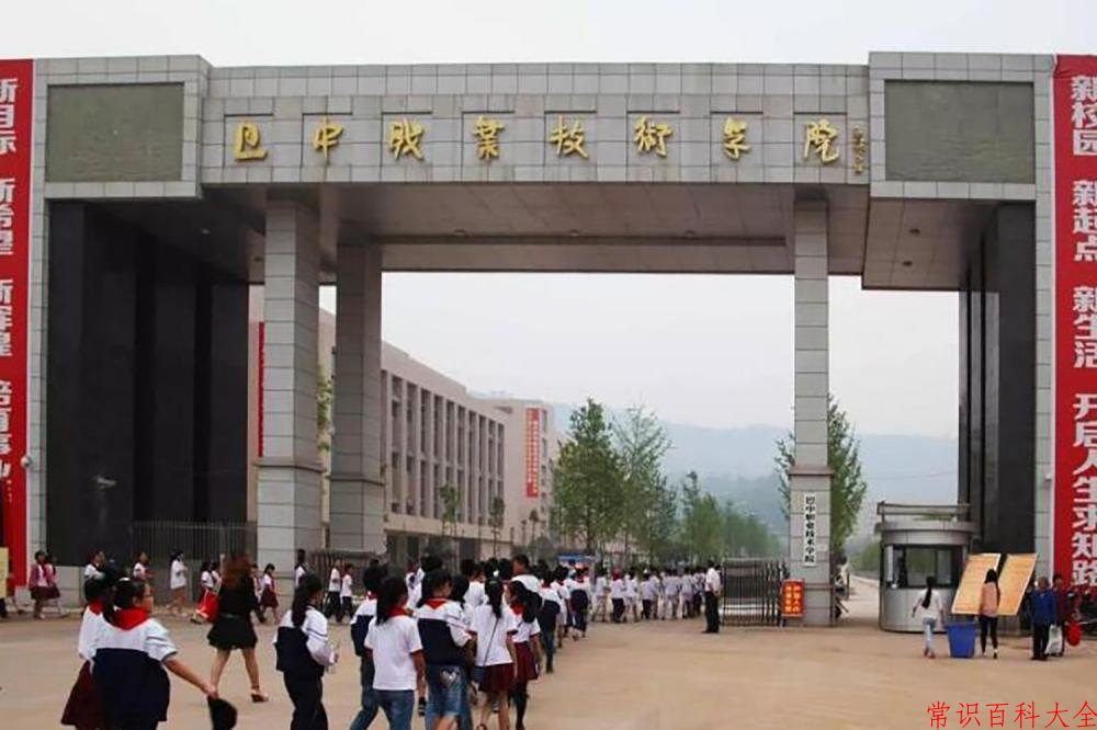 2024巴中职业技术学院录取分数线：山东最低223分