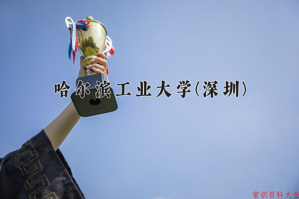 2024哈尔滨工业大学(深圳)录取分数线及位次一览：四川考生2025填报参考