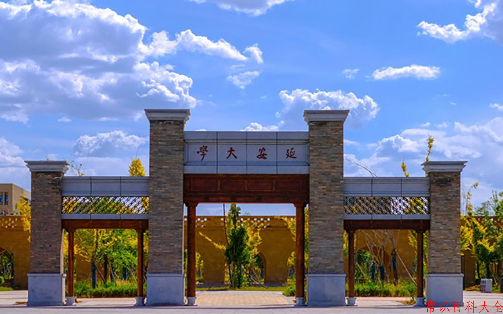 2024延安大学录取分数线及位次一览：重庆考生2025填报参考