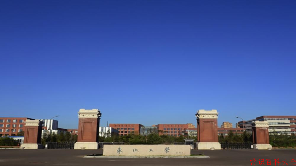 云南601分能上哪所学校？附2025年可以报考的大学名单