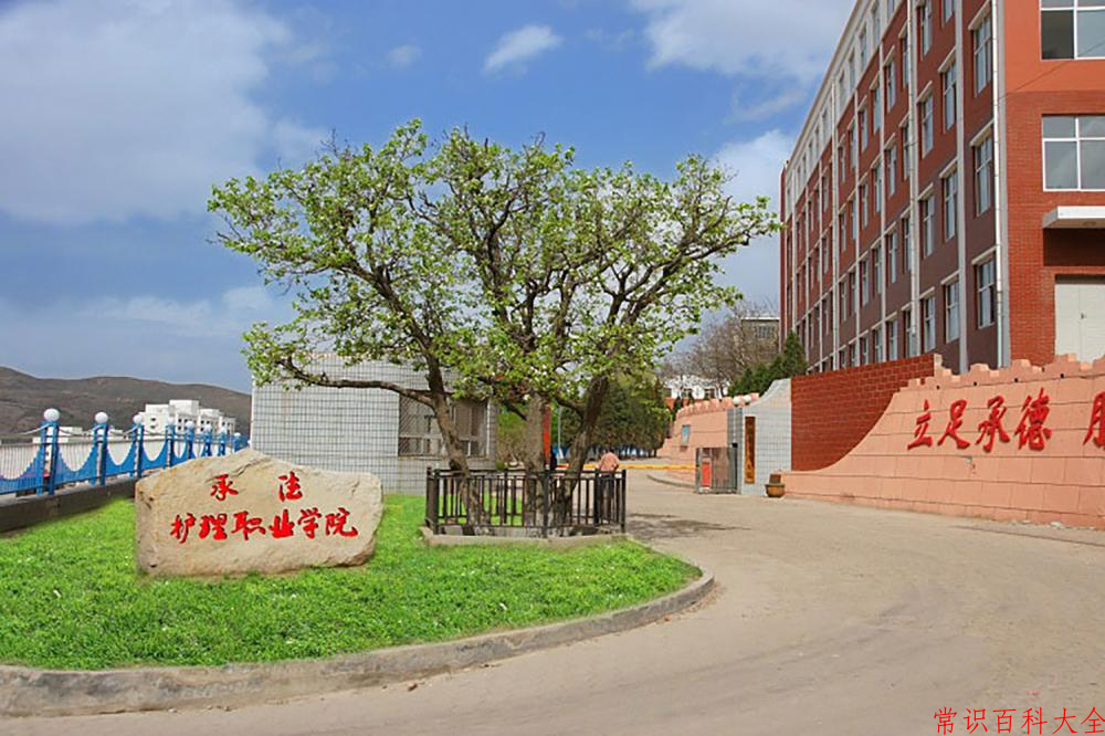 宁夏359分能上哪所学校？附2025年可以报考的大学名单