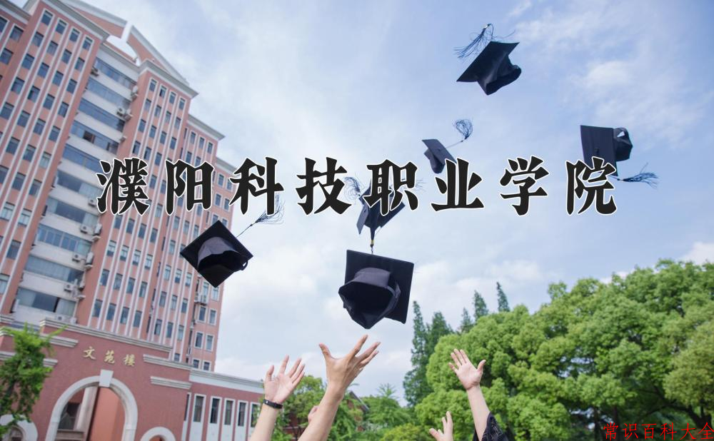 2024濮阳科技职业学院录取分数线：山东最低341分