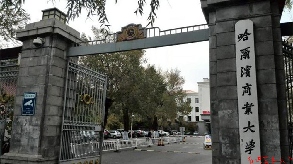 2024哈尔滨商业大学录取分数线及位次一览：重庆考生2025填报参考